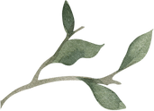 Watercolor Illustration Floral Element Spring Branch