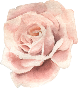 Watercolor Flower Illustration